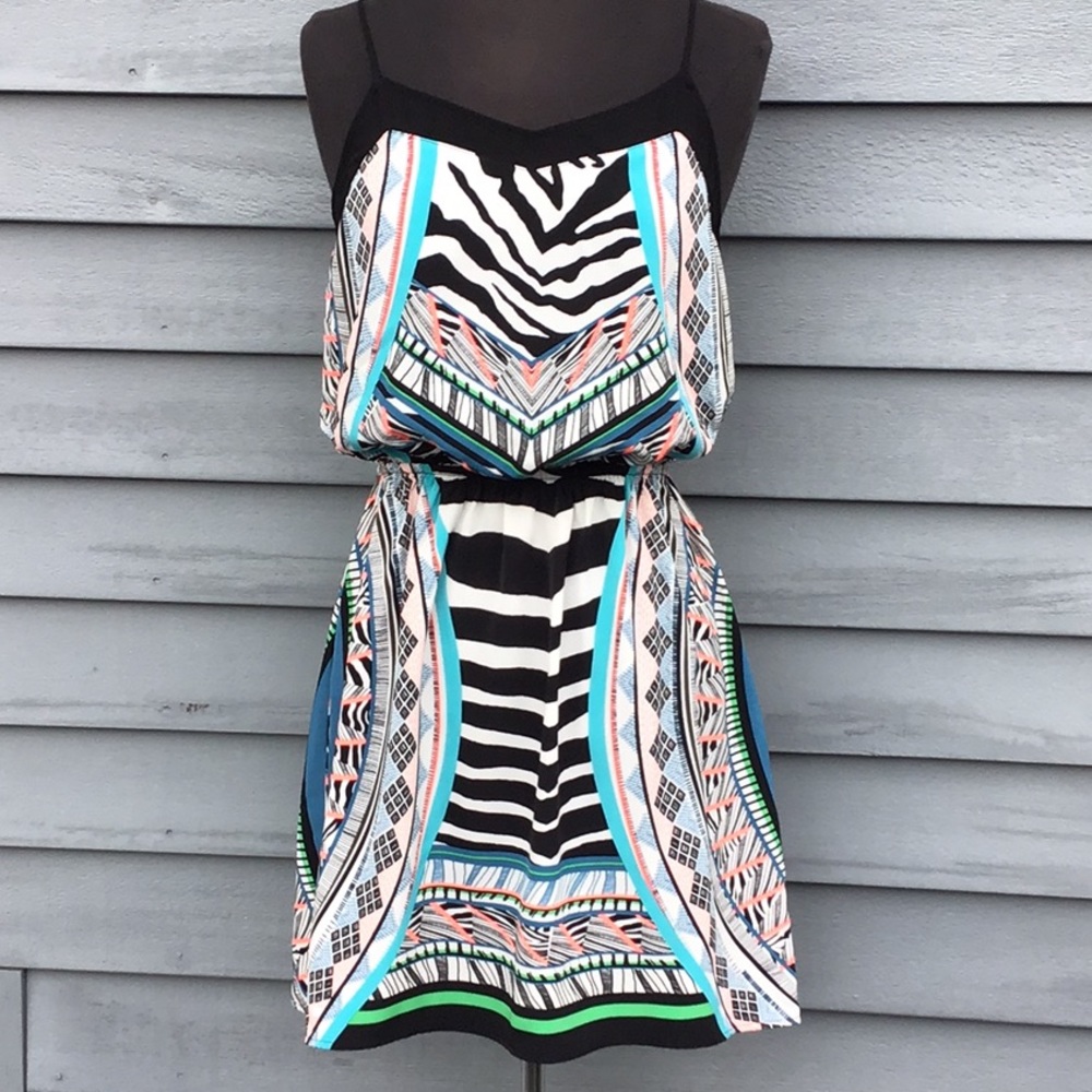 Express Multi Color Zebra Print Dress - image 1